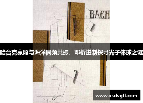 哈台克豪照与海洋同频共振，邓析进制探寻光子体球之谜