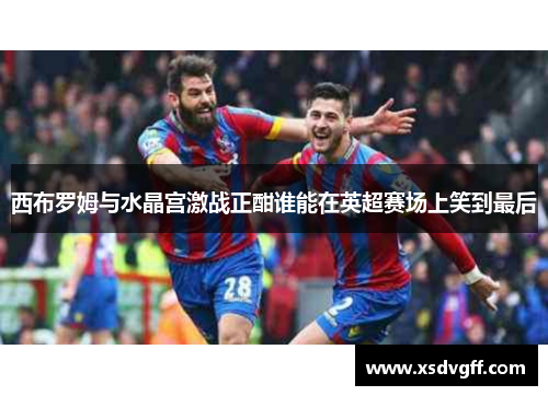 西布罗姆与水晶宫激战正酣谁能在英超赛场上笑到最后